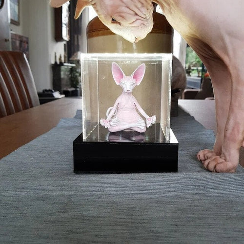 🔥HOT SALE Promotion🔥😻Sphynx Cat Meditate Yoga