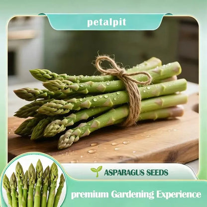 🌿Four Seasons Asparagus Mary Washington Seeds – Sprouts in 7 Days • Ready to Harvest in 20 Days