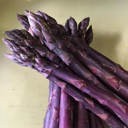 🌿Four Seasons Asparagus Mary Washington Seeds – Sprouts in 7 Days • Ready to Harvest in 20 Days