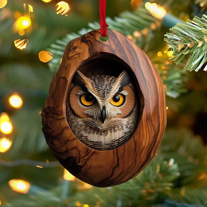 🔥Owl