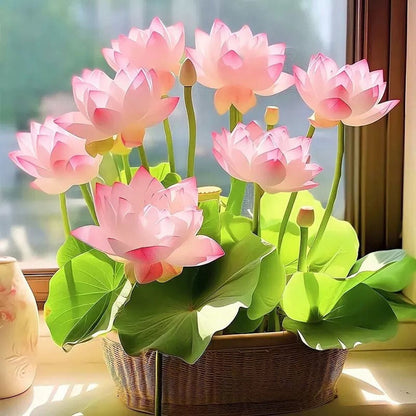 🔥Last Day 49% OFF🌸[7 days germination]💐The Sacred Bonsai Bowl Lotus Flower