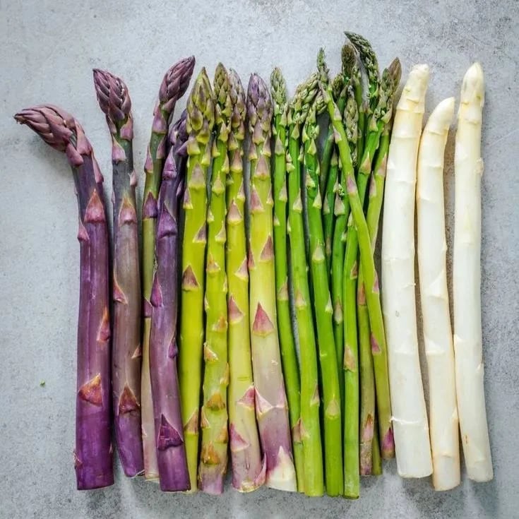 🔥Top Sellers🔥Mix Three Color Asparagus (300 Seeds) & Save 20%
